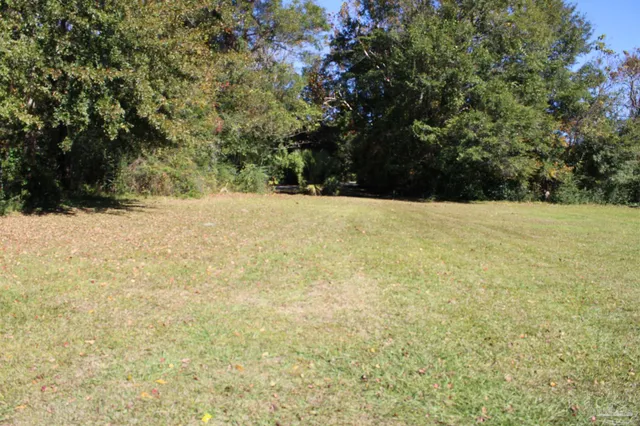 a view of empty yard with large trees