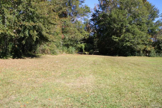 a view of a yard with a tree