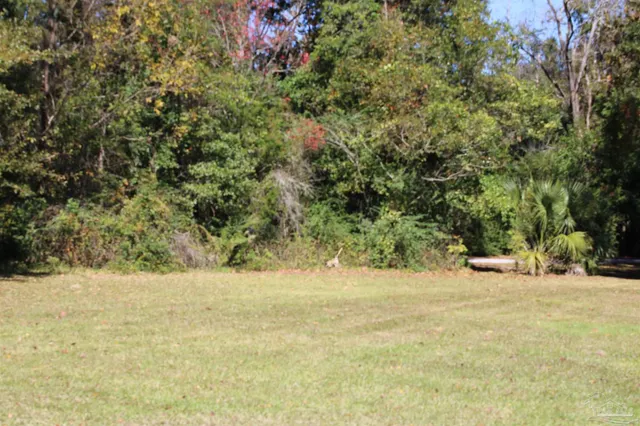 a view of yard with trees