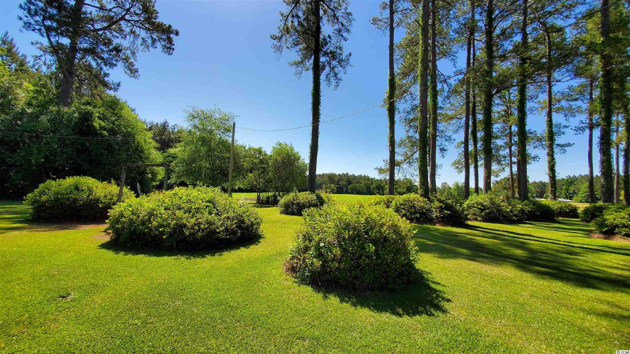 2580 Church Road Green Sea, SC 29545 - Photo 34 of 34 Gallery Image 34