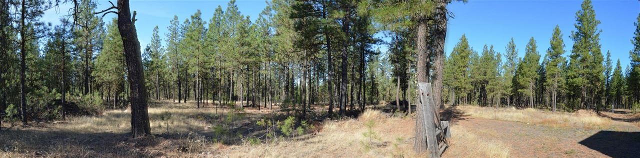 19515 South Malloy Prairie Road Cheney, WA 99004 - Photo 13 of 20