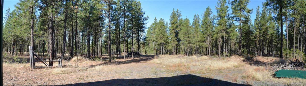 19515 South Malloy Prairie Road Cheney, WA 99004 - Photo 4 of 20