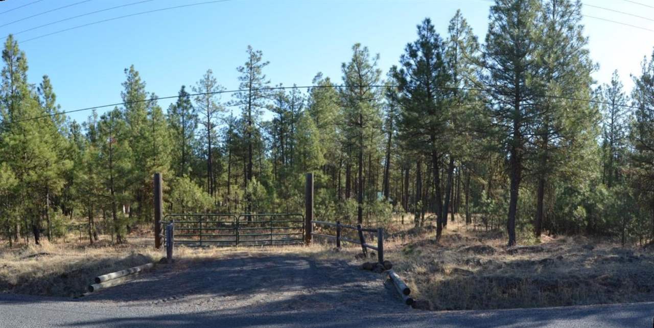 19515 South Malloy Prairie Road Cheney, WA 99004 - Photo 5 of 20