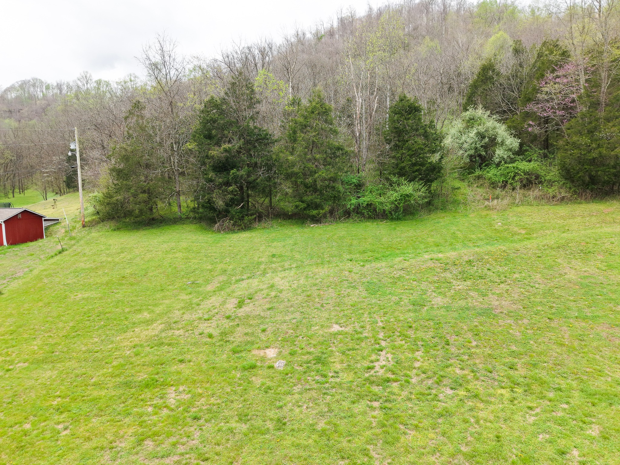 1675 Indian Creek Road Whitleyville, TN 38588 - Photo 6 of 10