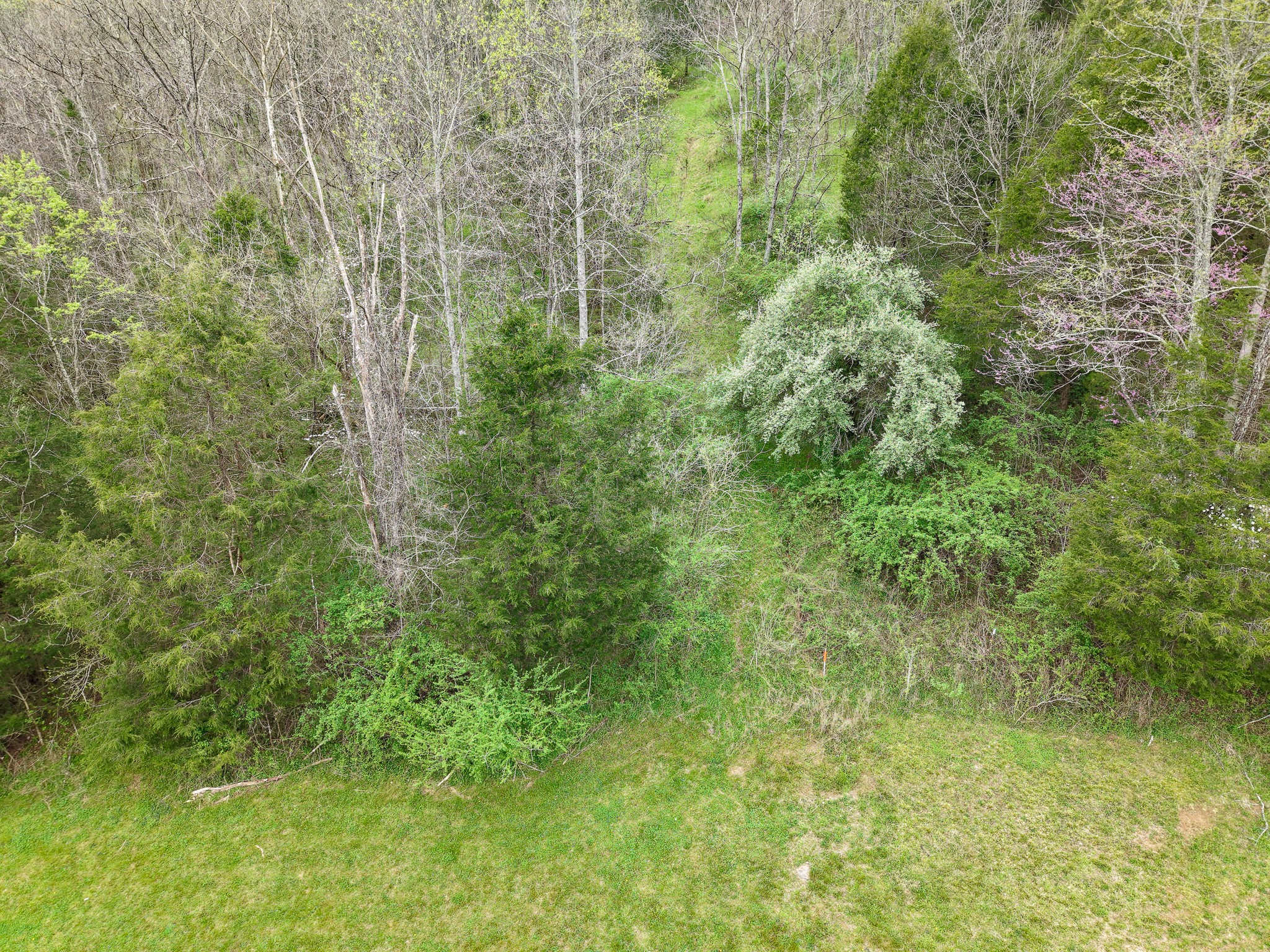 1675 Indian Creek Road Whitleyville, TN 38588 - Photo 8 of 10