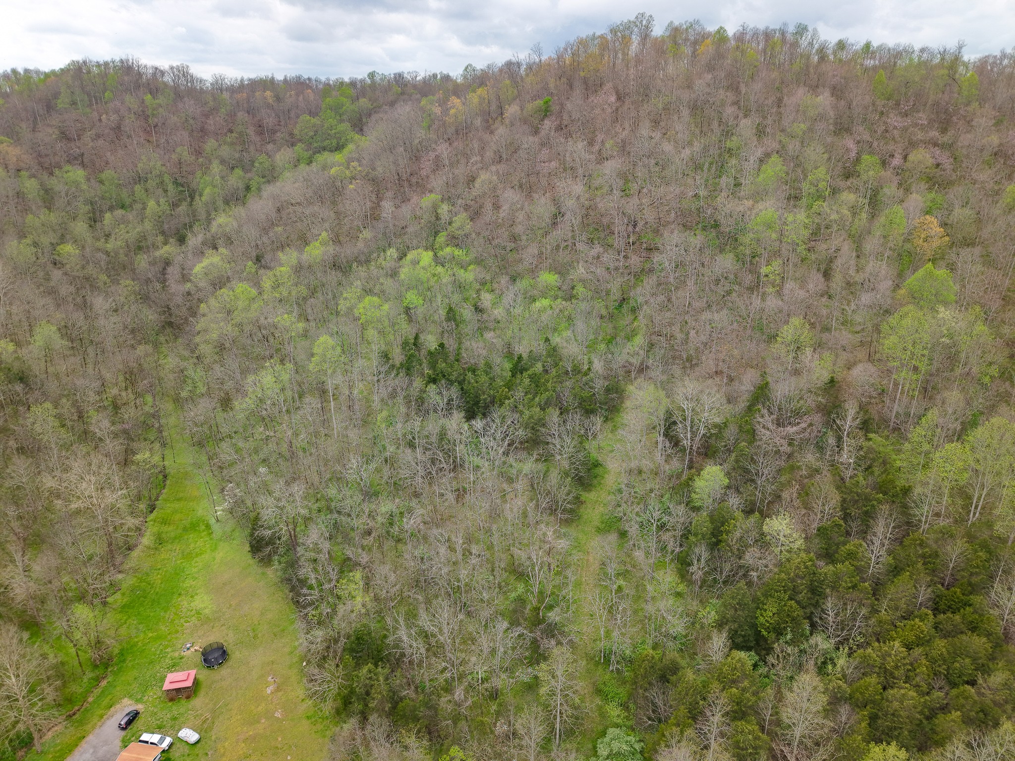 1675 Indian Creek Road Whitleyville, TN 38588 - Photo 9 of 10