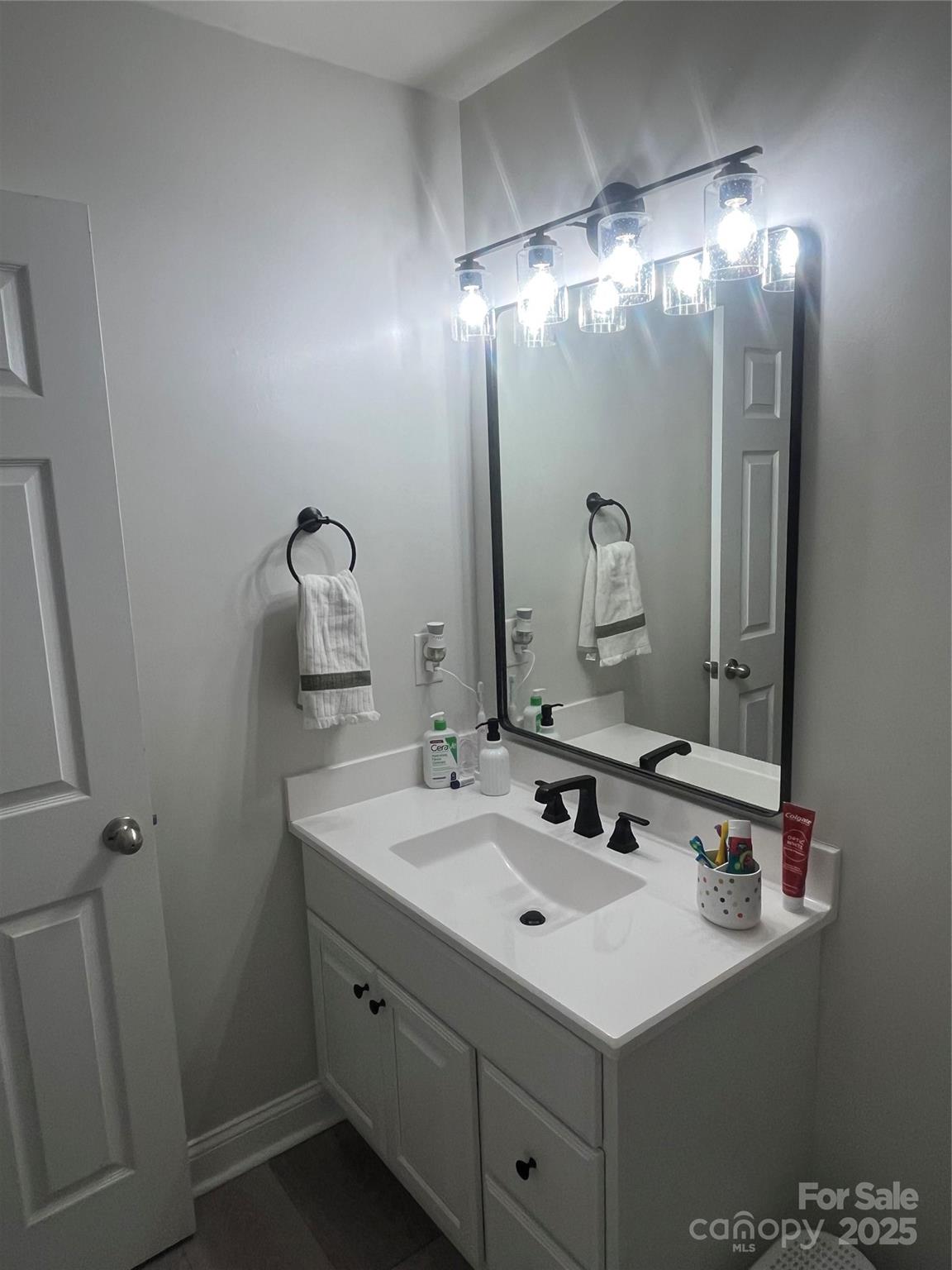 226 Waterlemon Way Monroe, NC 28110 - Photo 16 of 20 a bathroom with a sink and a mirror