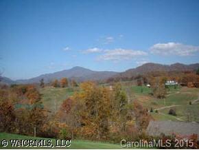 9 Pt Clyde, NC 28721 - Photo 1 of 4 Gallery Image 1