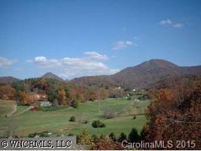 9 Pt Clyde, NC 28721 - Photo 3 of 4 Gallery Image 3