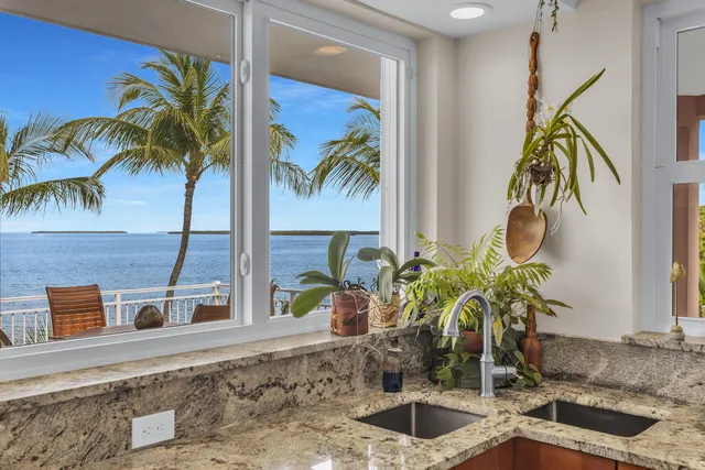 a view of a kitchen with a sink and a potted plant