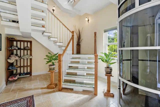 a view of path along with trees