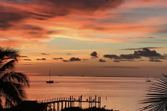 a view of a yard with a house
