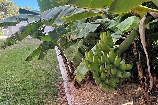 $5,900,000 | 100 List Street, Islamorada, FL 33036