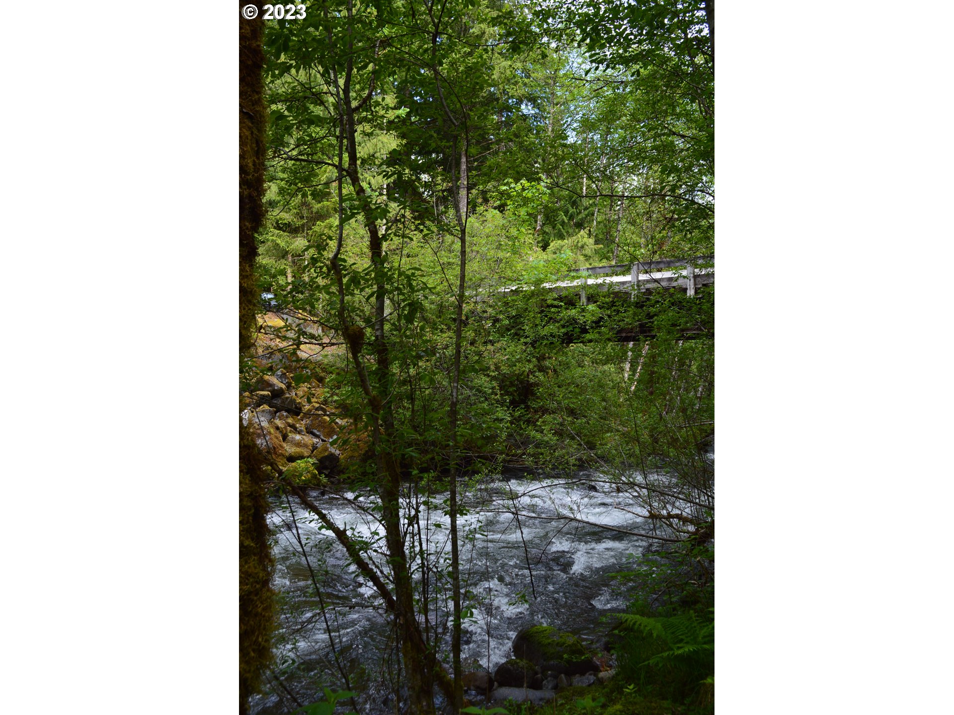 27502 Road 20 Rhododendron, OR 97049 - Photo 45 of 48 a view of a room with a tree in front of it