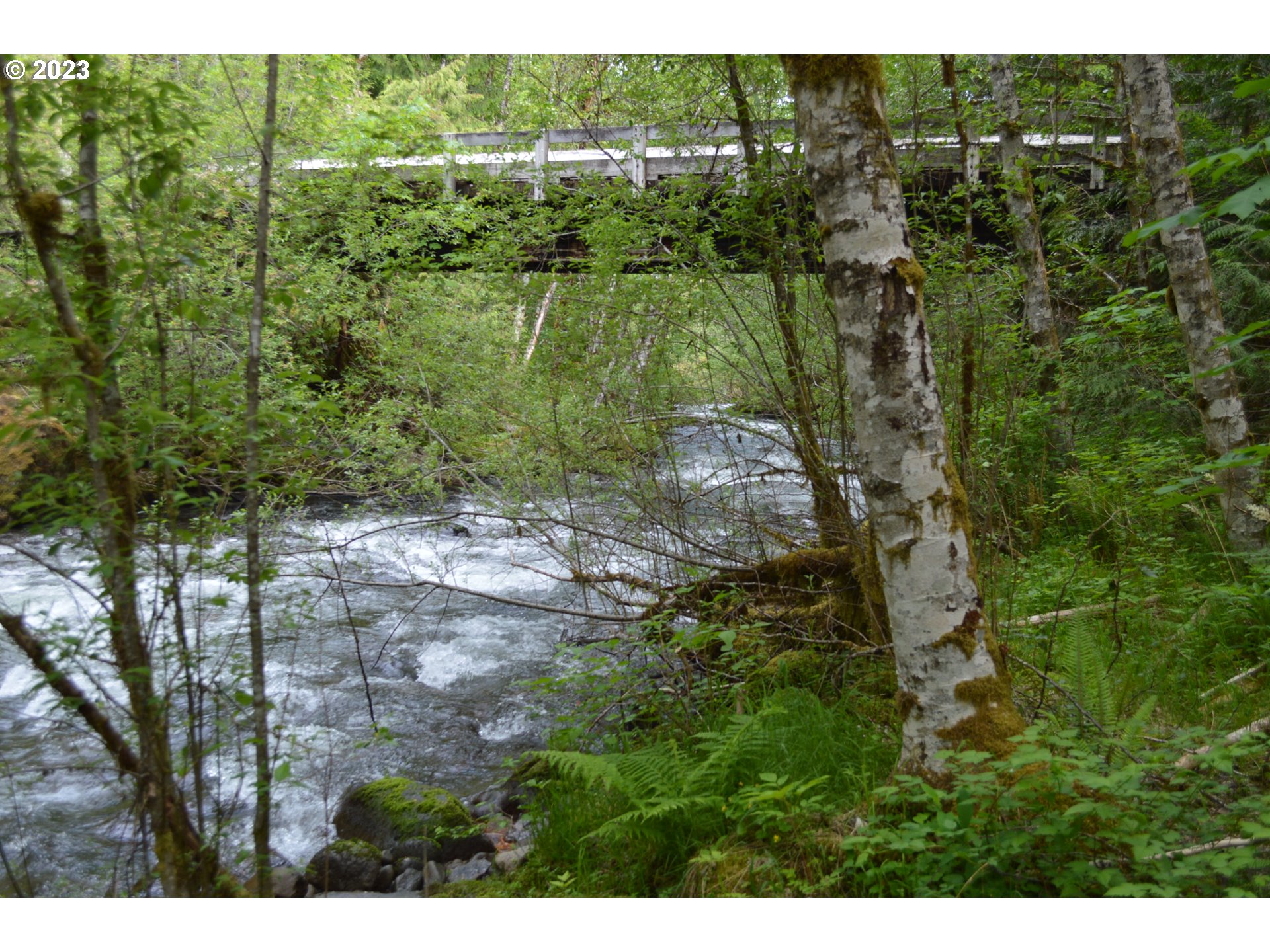 27502 Road 20 Rhododendron, OR 97049 - Photo 8 of 48 a view of a city