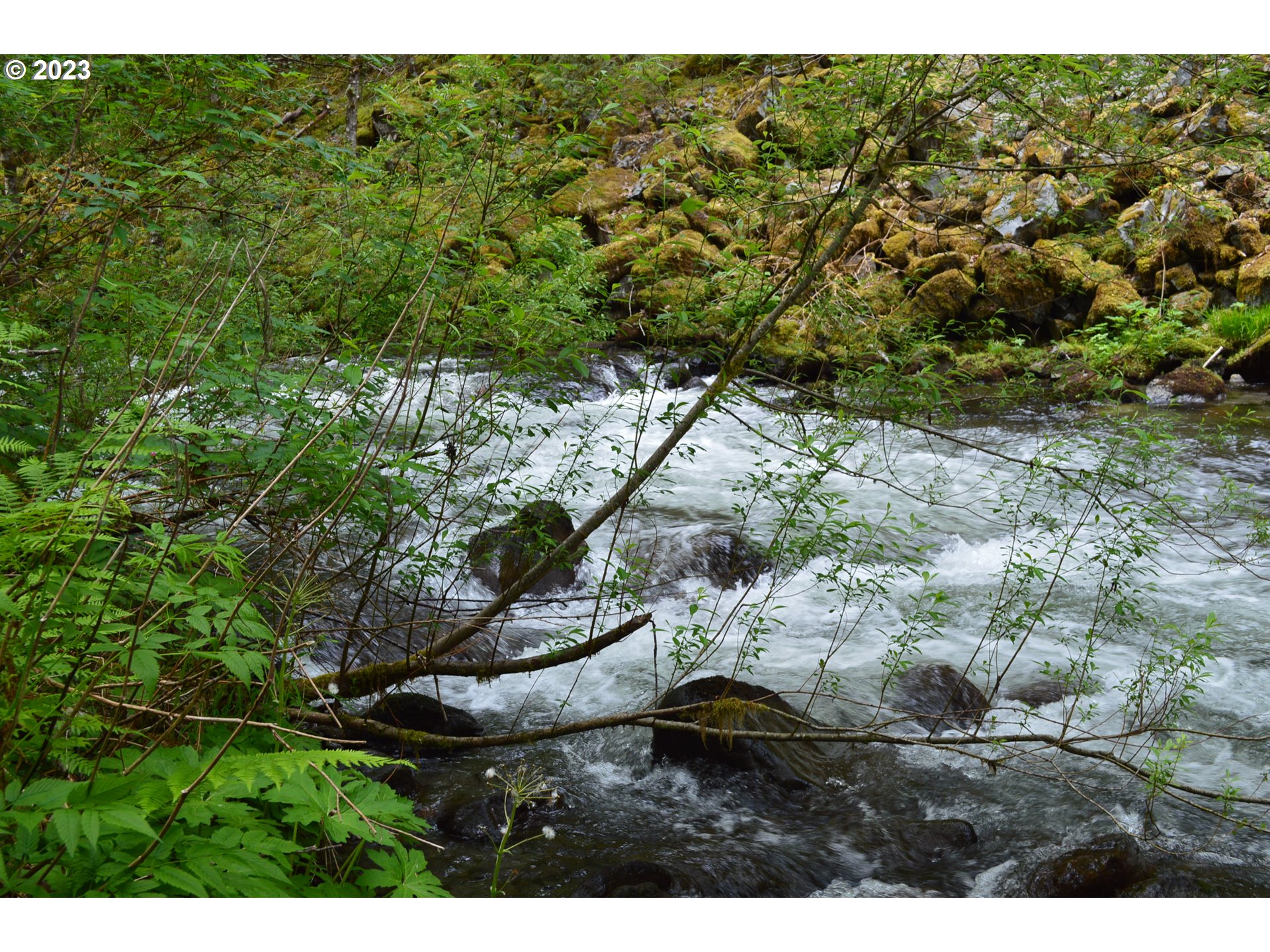 27502 Road 20 Rhododendron, OR 97049 - Photo 9 of 48 a view of outdoor space and yard