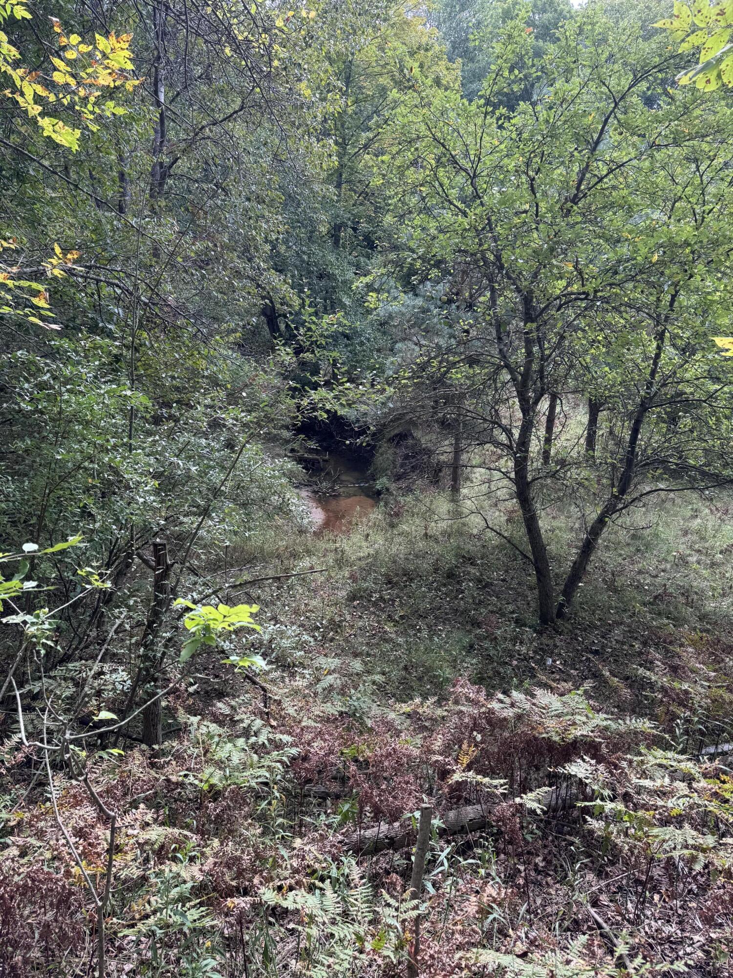1140 West Freeman Road Free Soil, MI 49411 - Photo 22 of 40 Creek