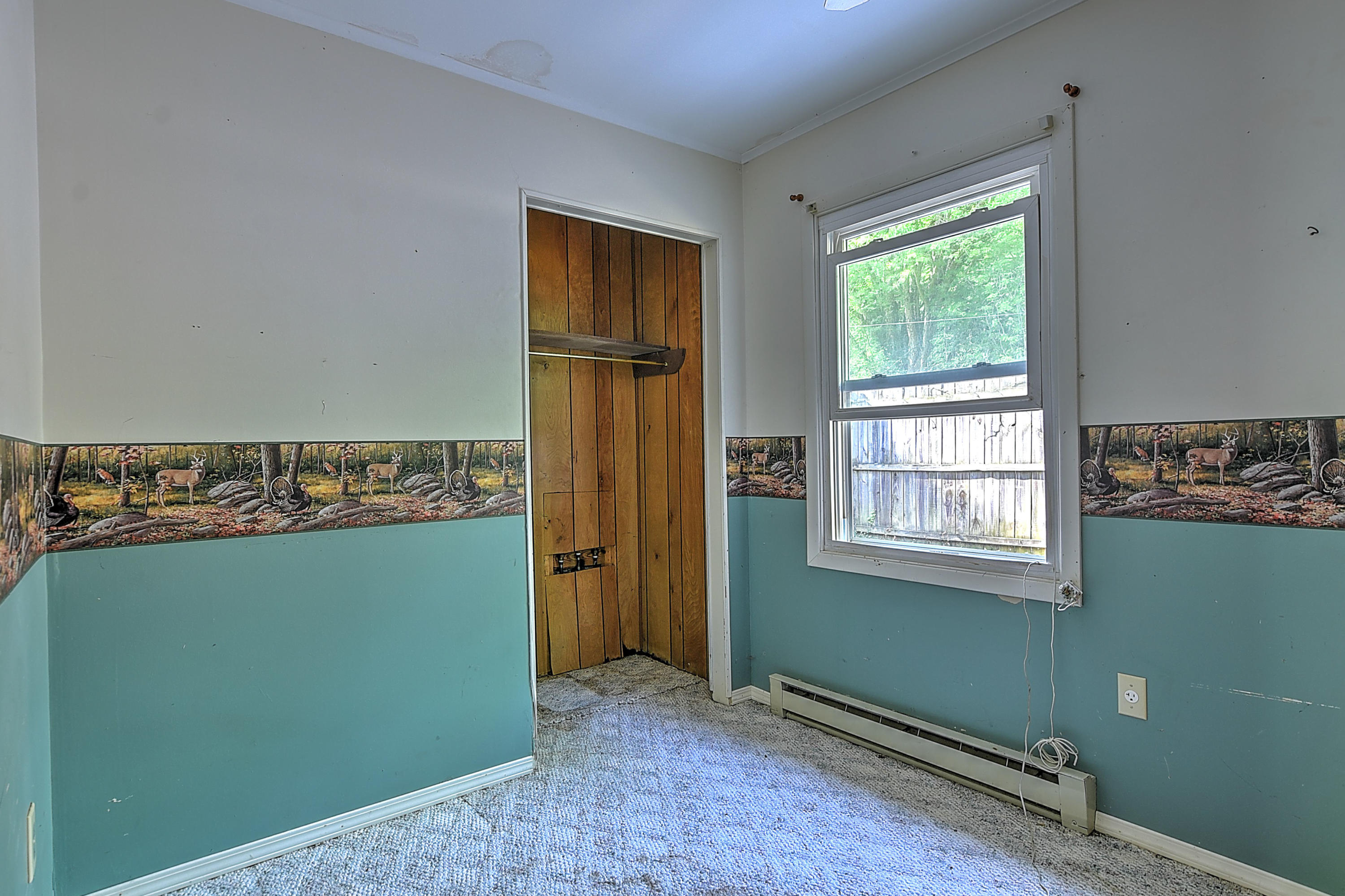 21270 McCann Road Damascus, VA 24236 - Photo 11 of 21 21270 McCan Rd-11