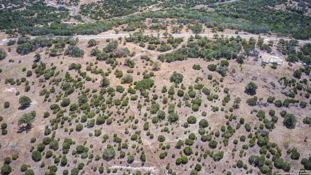 a view of a dry yard