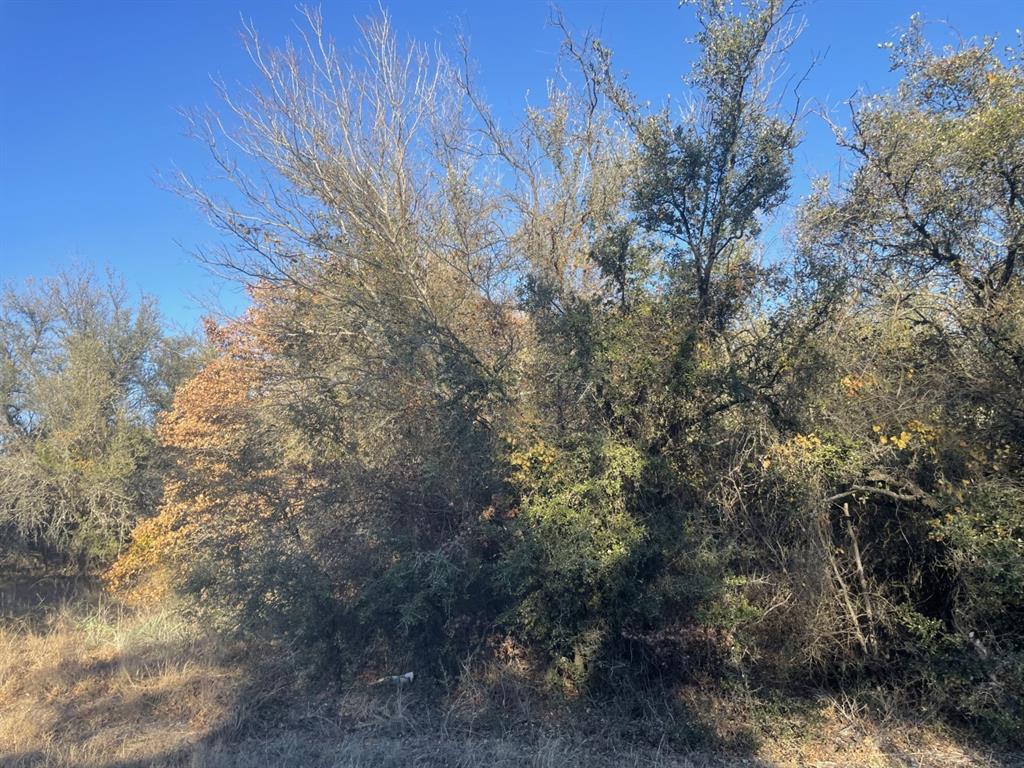 3751 Old Decatur Road Alvord, TX 76225 - Photo 3 of 3 a backyard of a house with lots of trees