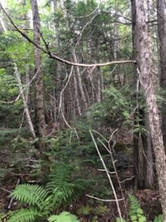 image_6483441 (7)