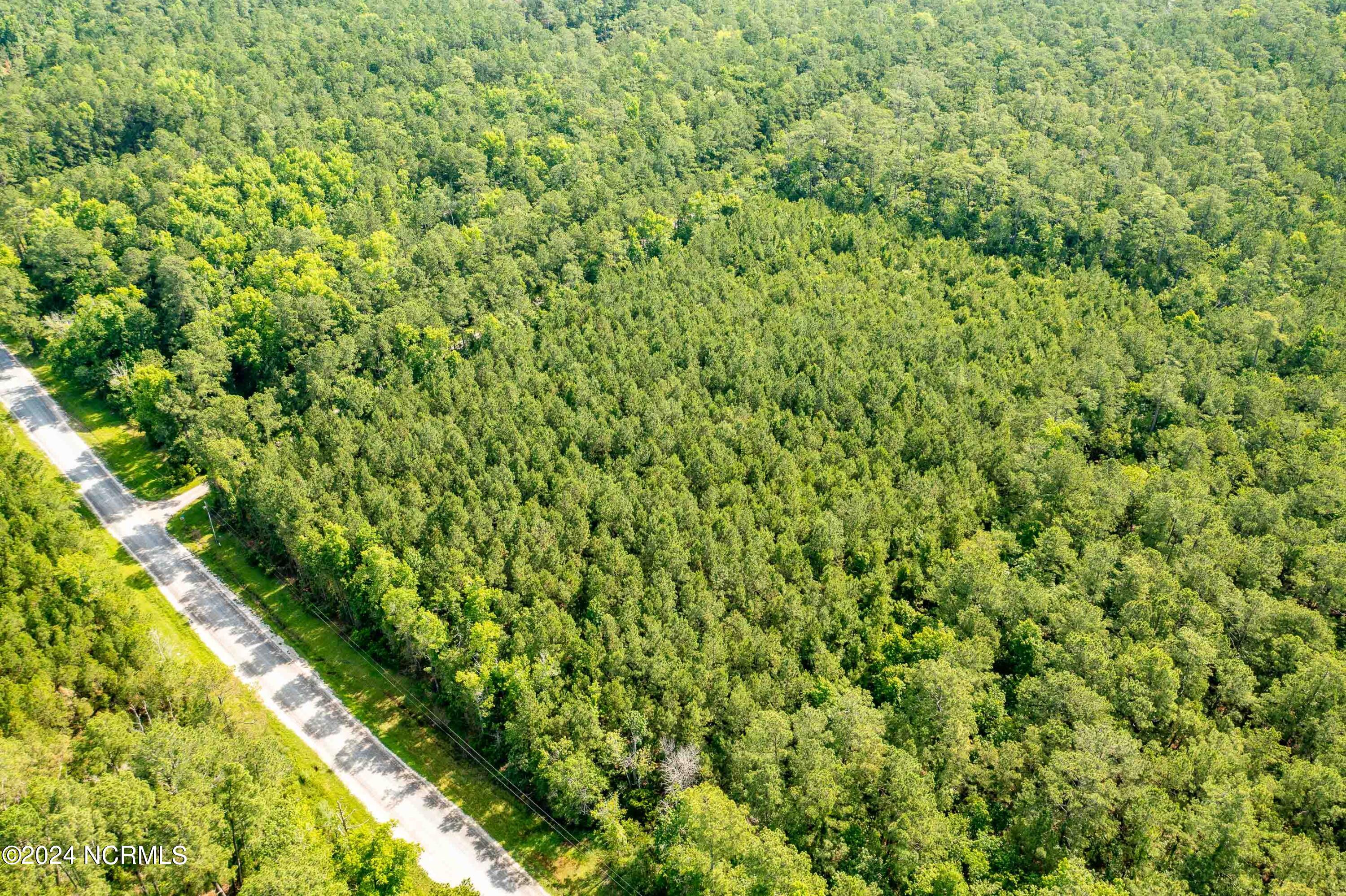 0 Mills Road Oriental, NC 28571 - Photo 12 of 13 012_Aerial