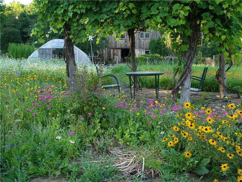 683 Sandy River Road Kents Hill, ME 04349 - Photo 32 of 35 Yard/Garden.