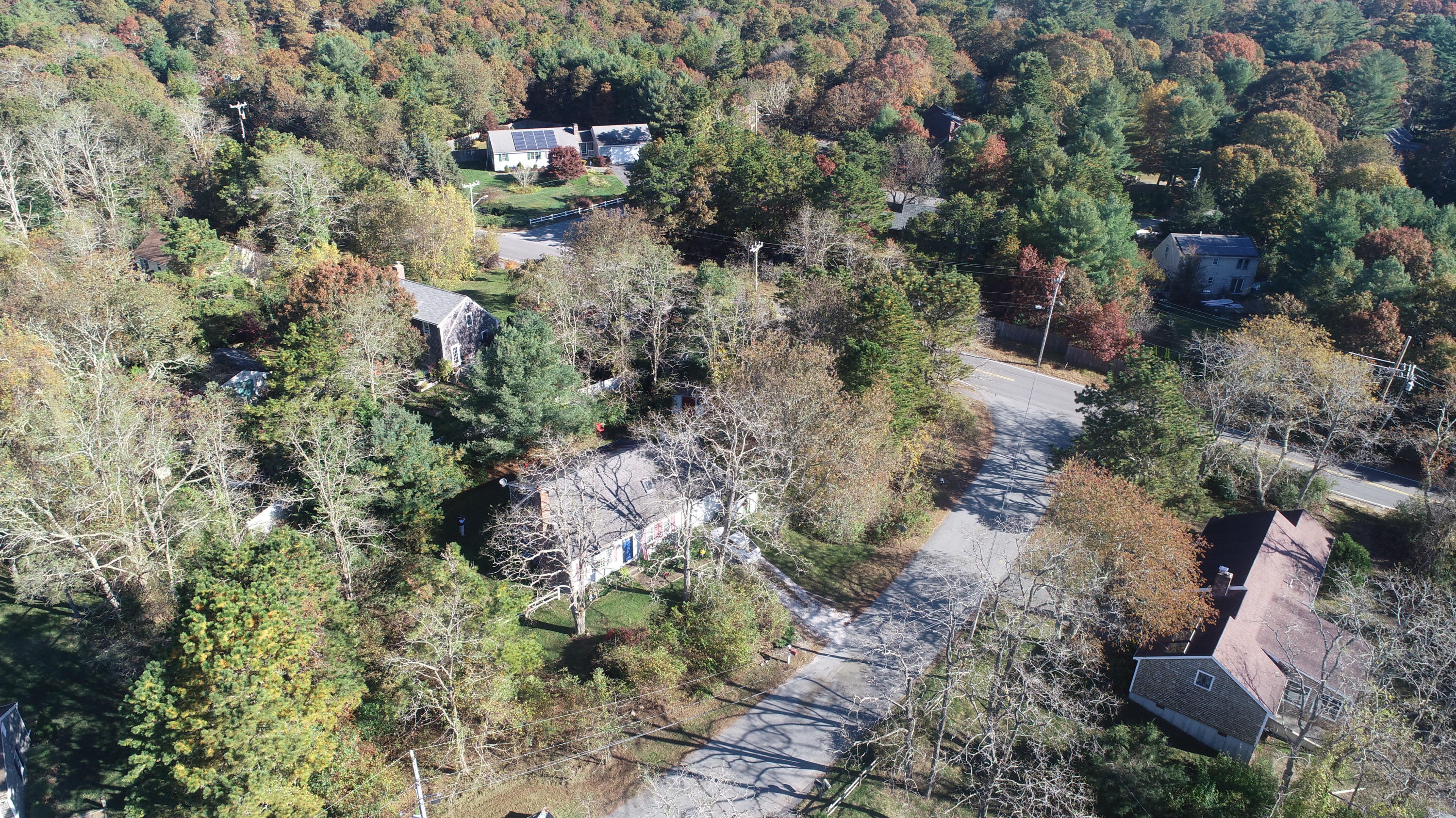 12 Ebenezer Road Osterville, MA 02655 - Photo 3 of 22 a picture of trees