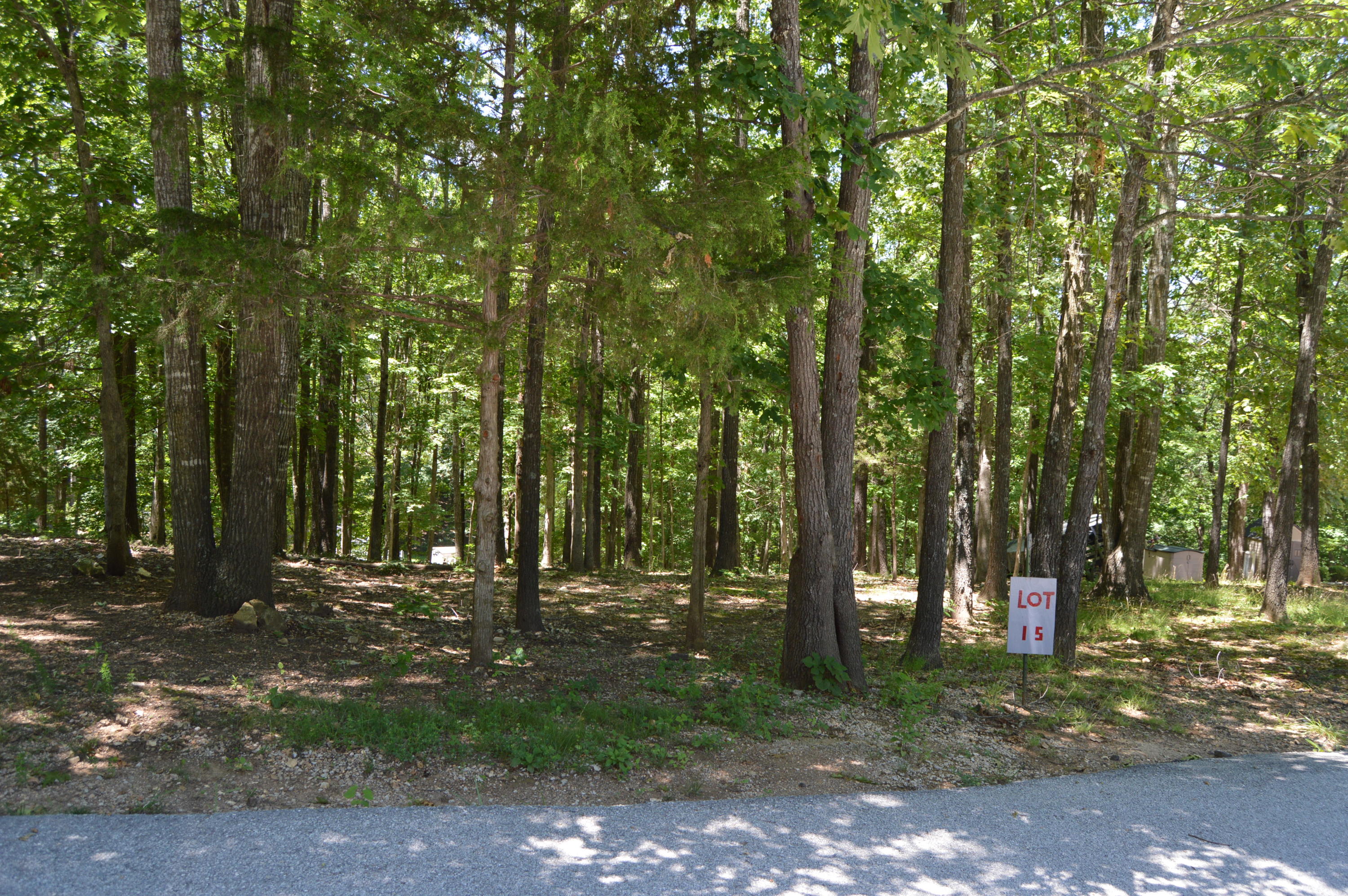 Tbd Lot 15 Tbd Queensberry St Branson Reeds Spring, MO 65737 - Photo 1 of 1 DSC_0001