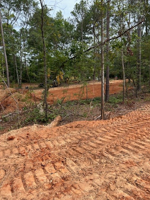 2590 Sargent Road, Unit LOT 2 Dalzell, SC 29040 - Photo 2 of 3 Gallery Image 2