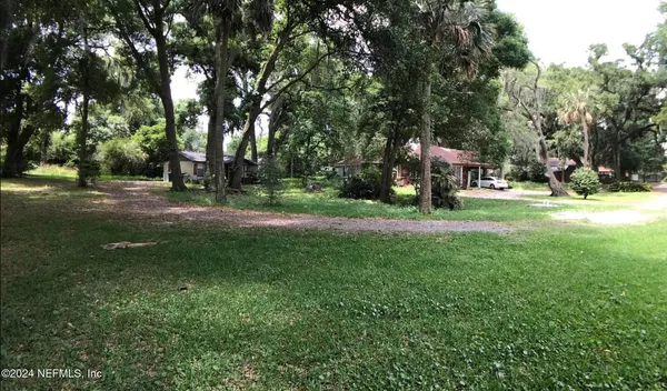 a view of a garden with a tree