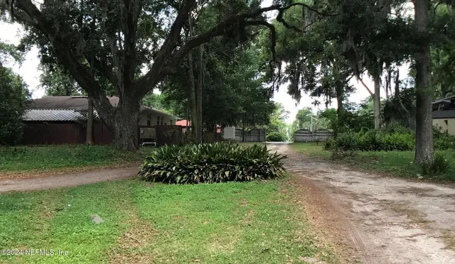 a view of a yard with plants and trees