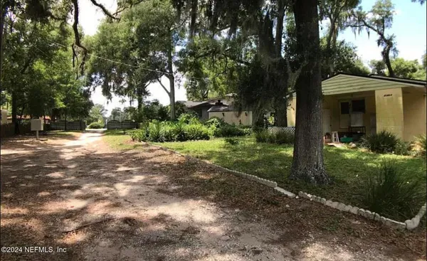 a view of a park with large trees