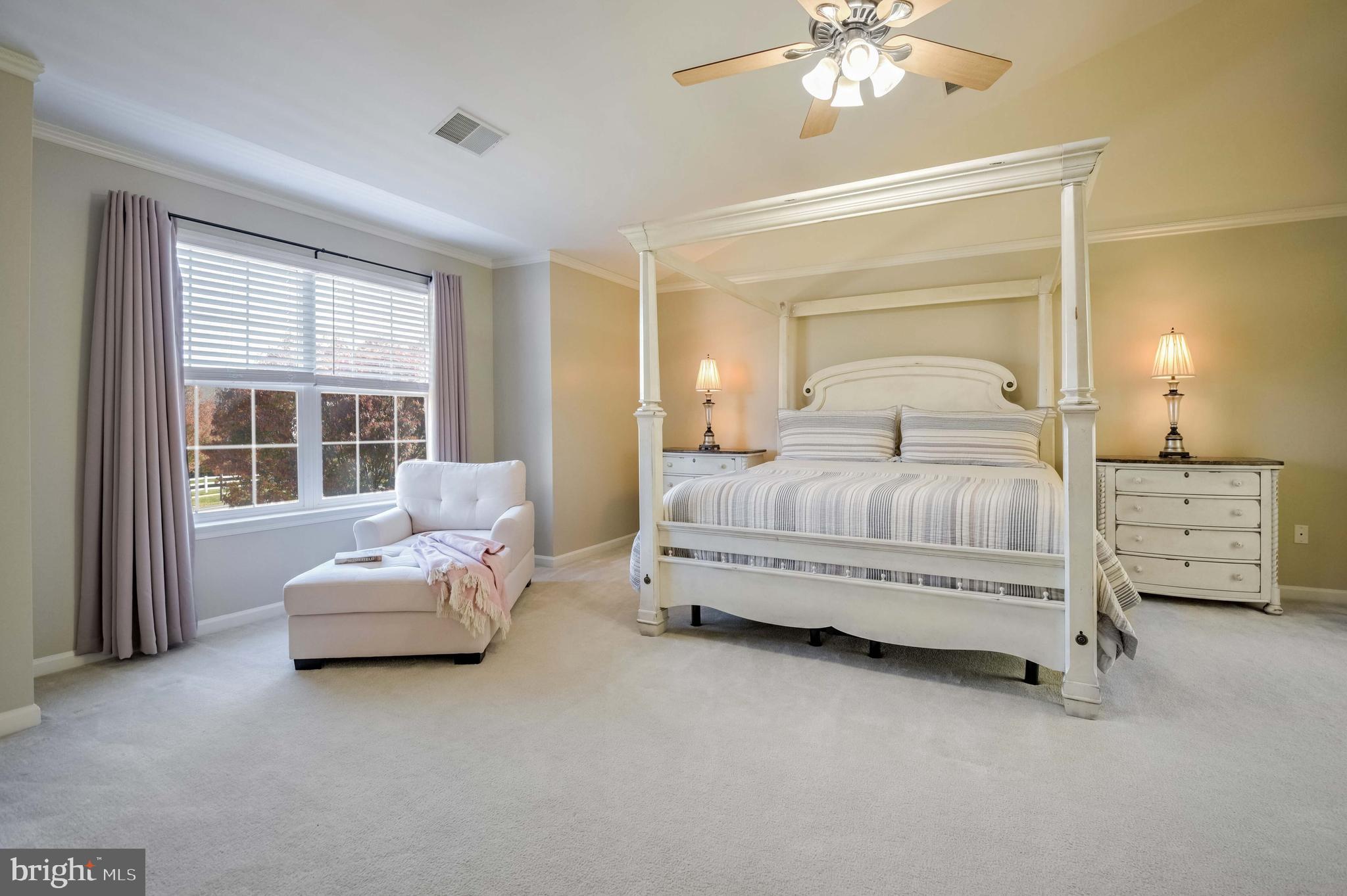 14004 Richter Farm Road Boyds, MD 20841 - Photo 20 of 50 Primary Suite with sitting area