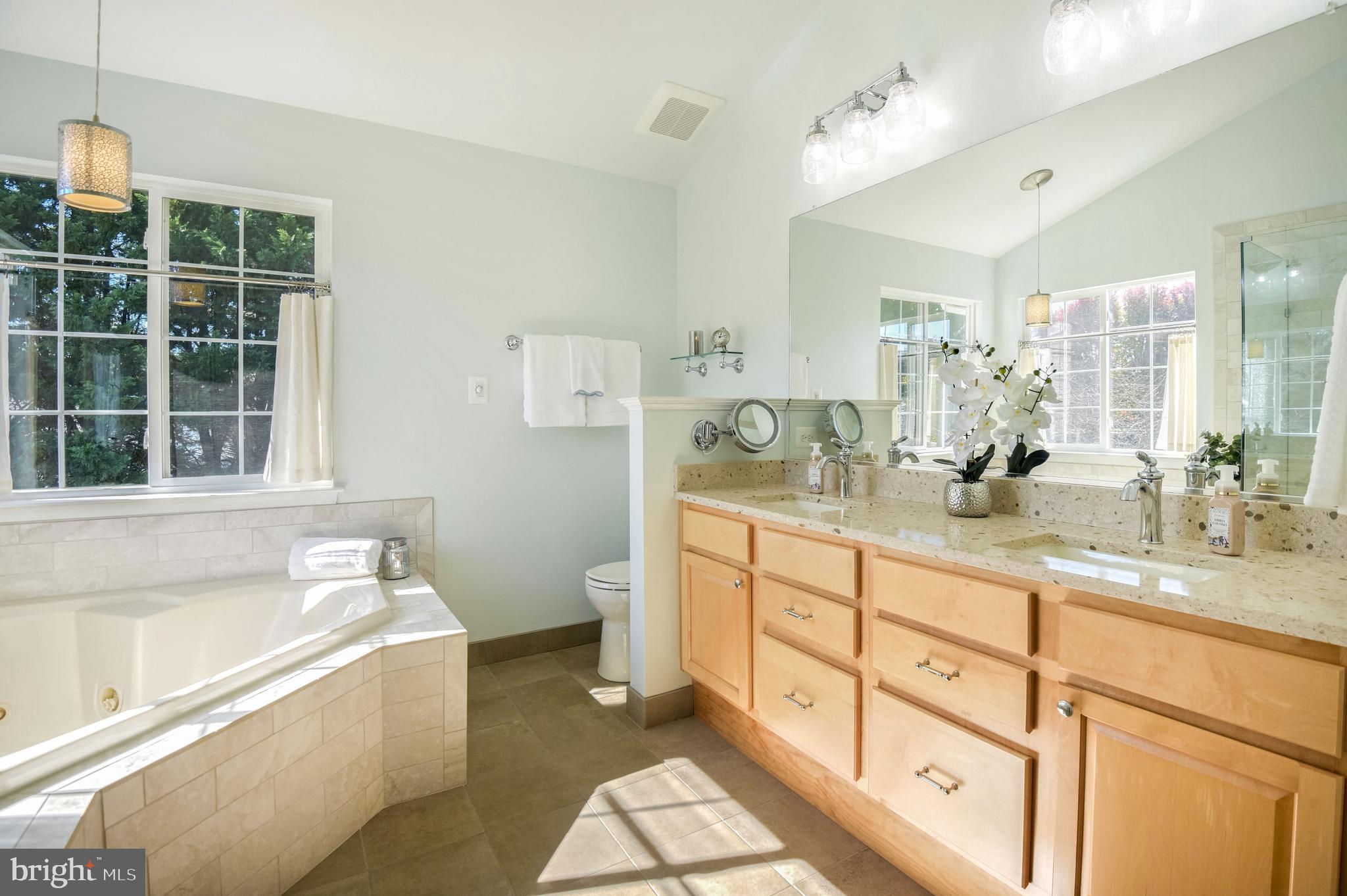 14004 Richter Farm Road Boyds, MD 20841 - Photo 23 of 50 Dual sink vanity; Jacuzzi tub