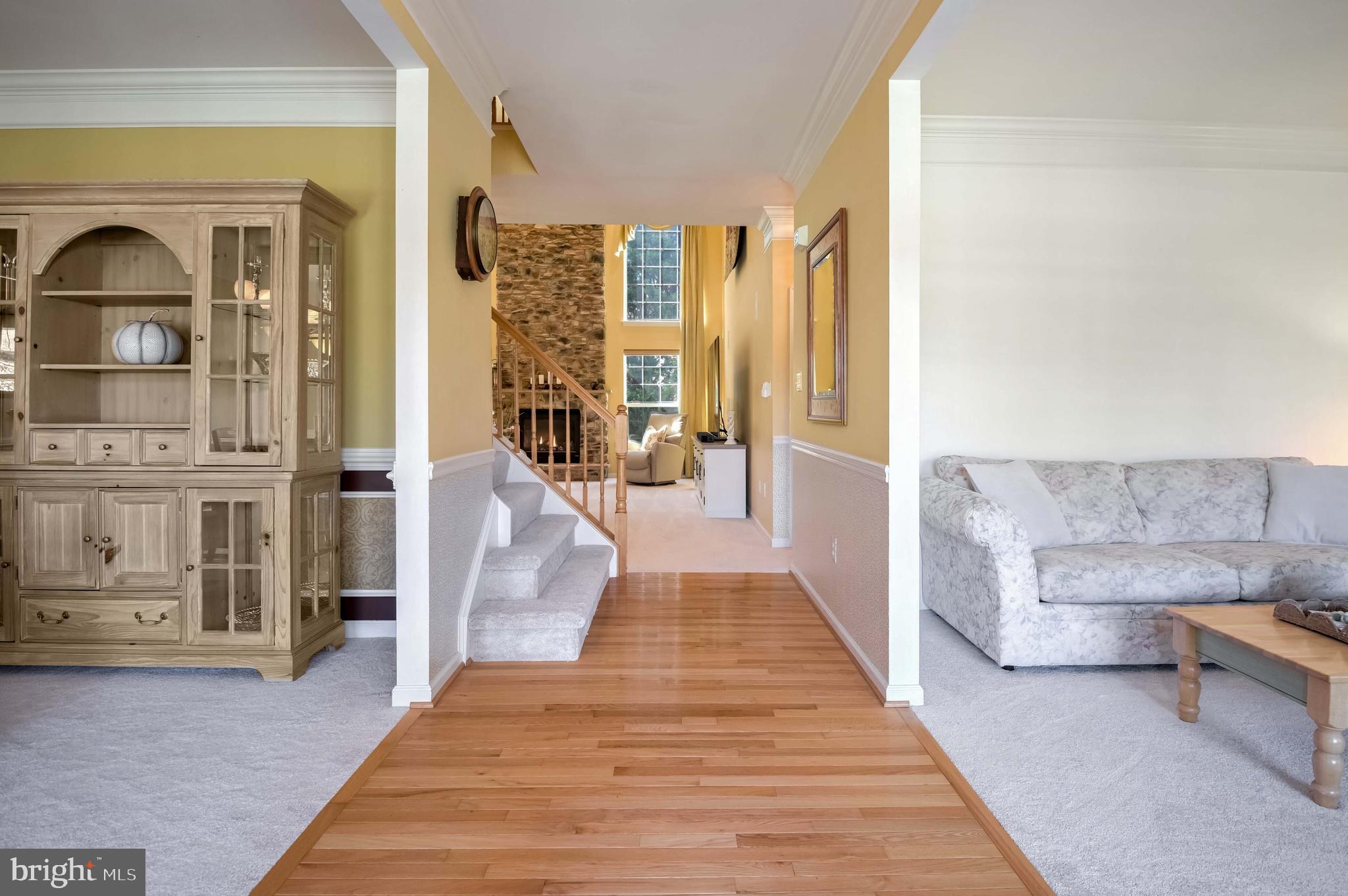 14004 Richter Farm Road Boyds, MD 20841 - Photo 4 of 50 Foyer with hardwood floor & new main level carpet