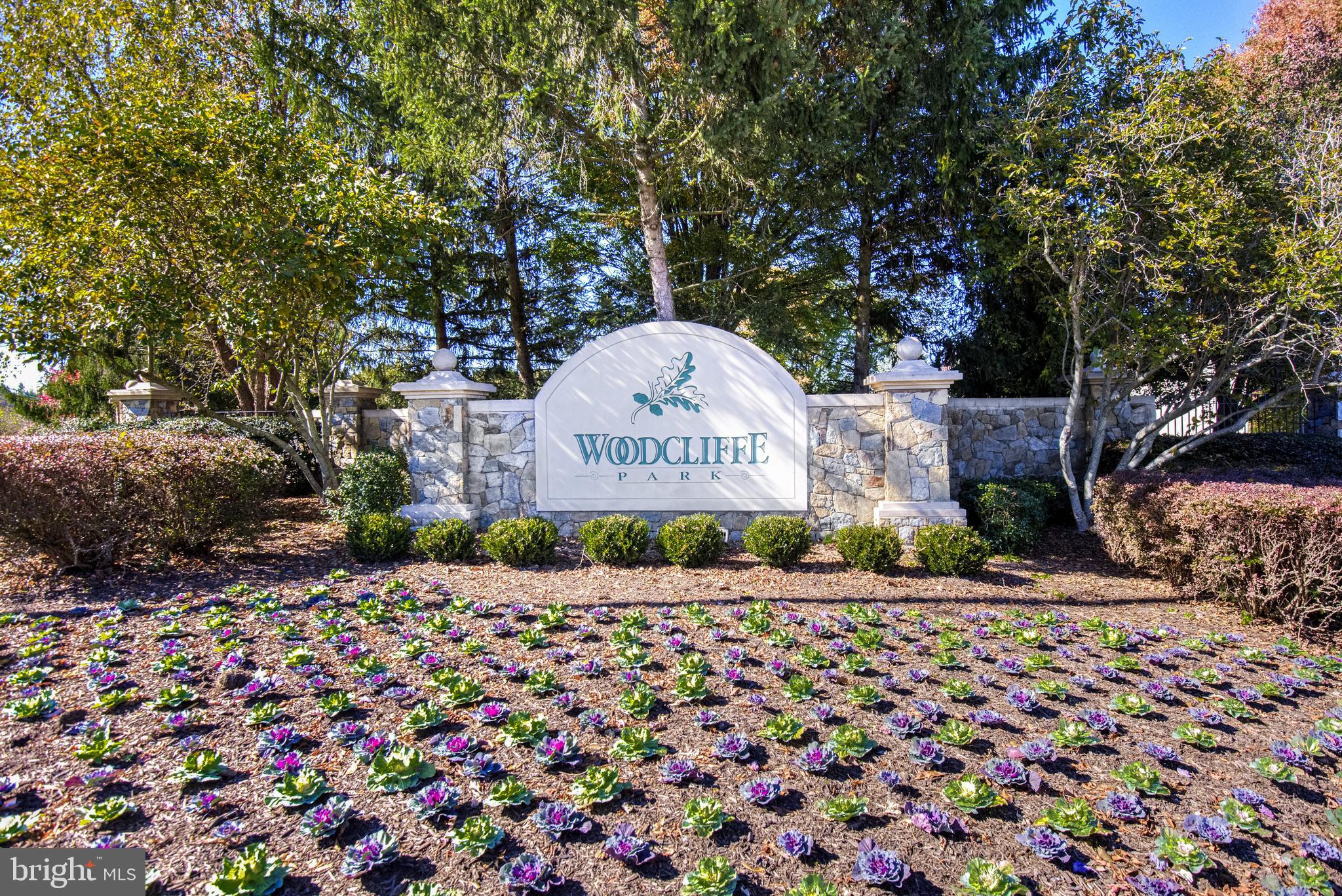 14004 Richter Farm Road Boyds, MD 20841 - Photo 43 of 50 Vibrant community of Woodcliffe Park