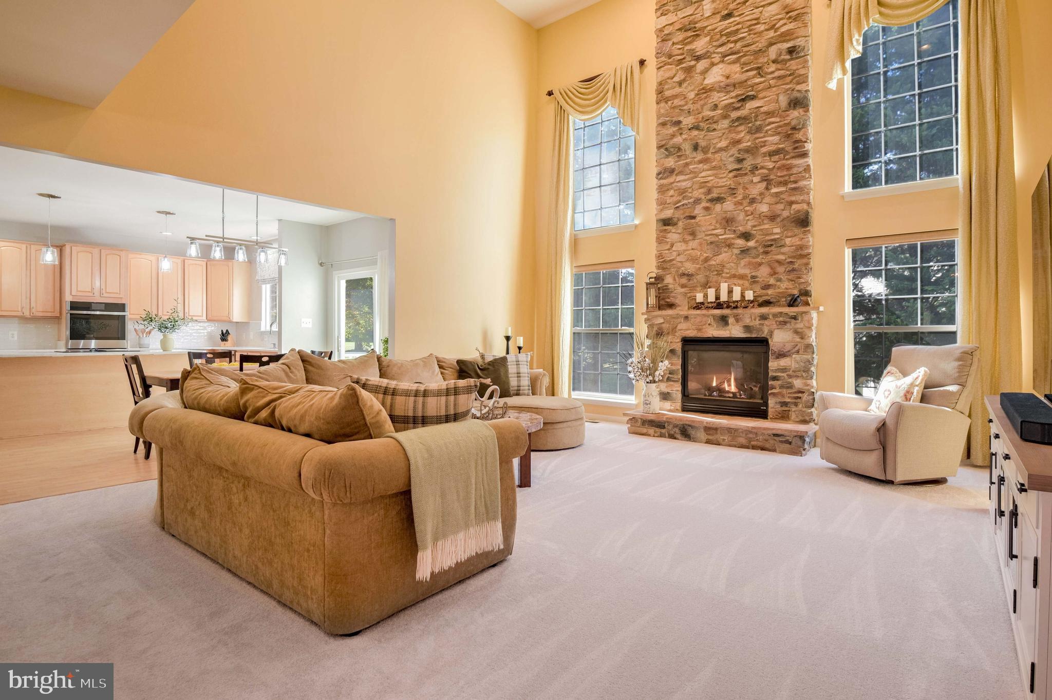 14004 Richter Farm Road Boyds, MD 20841 - Photo 9 of 50 Family room with impressive stone gas fireplace