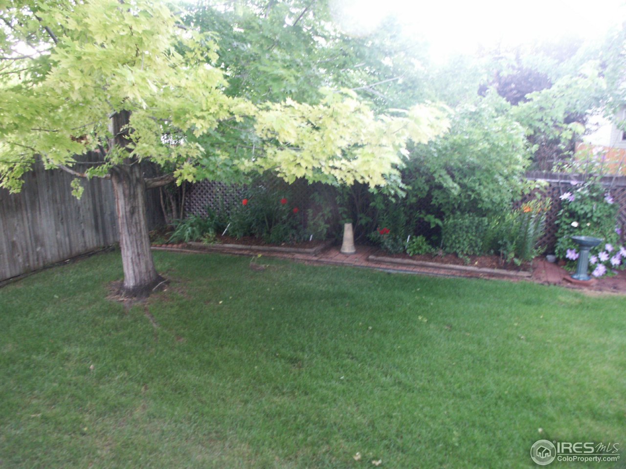 1338 Trail Ridge Road Longmont, CO 80504 - Photo 12 of 13 a backyard of a house with lots of green space