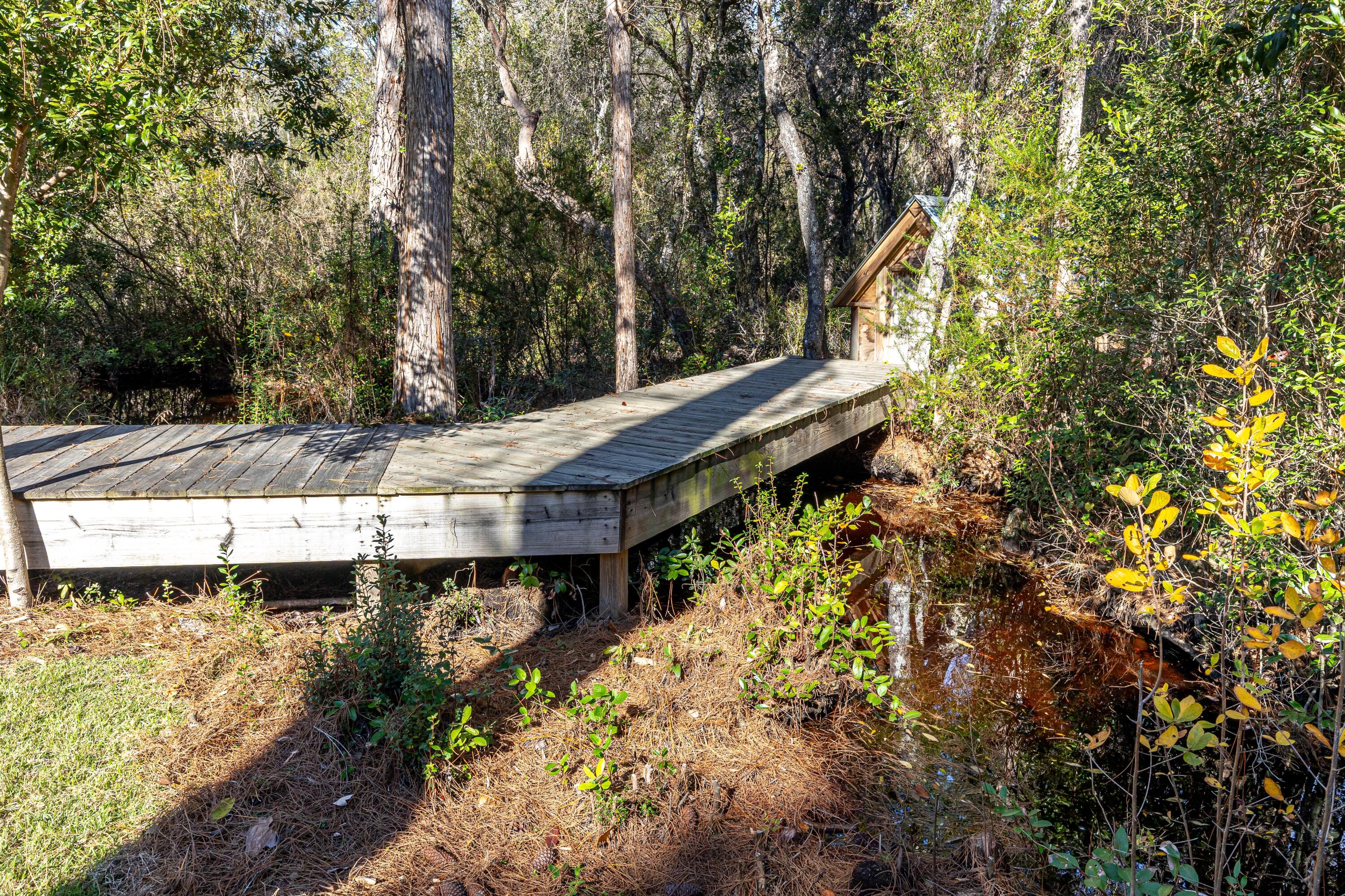 59 Chelsey Lane Santa Rosa Beach, FL 32459 - Photo 41 of 41 a view of a backyard with plants and large trees