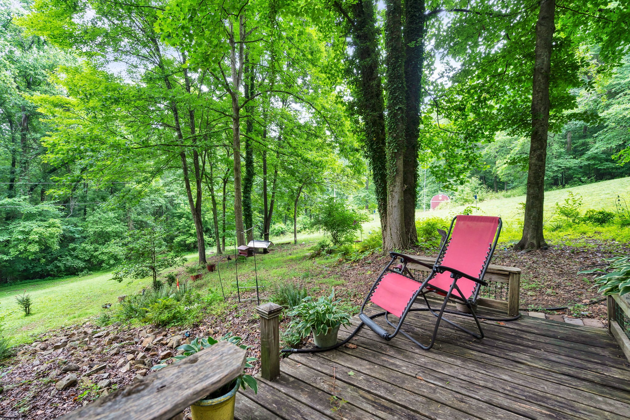 134 Mc Kinney Road Harriman, TN 37748 - Photo 22 of 31