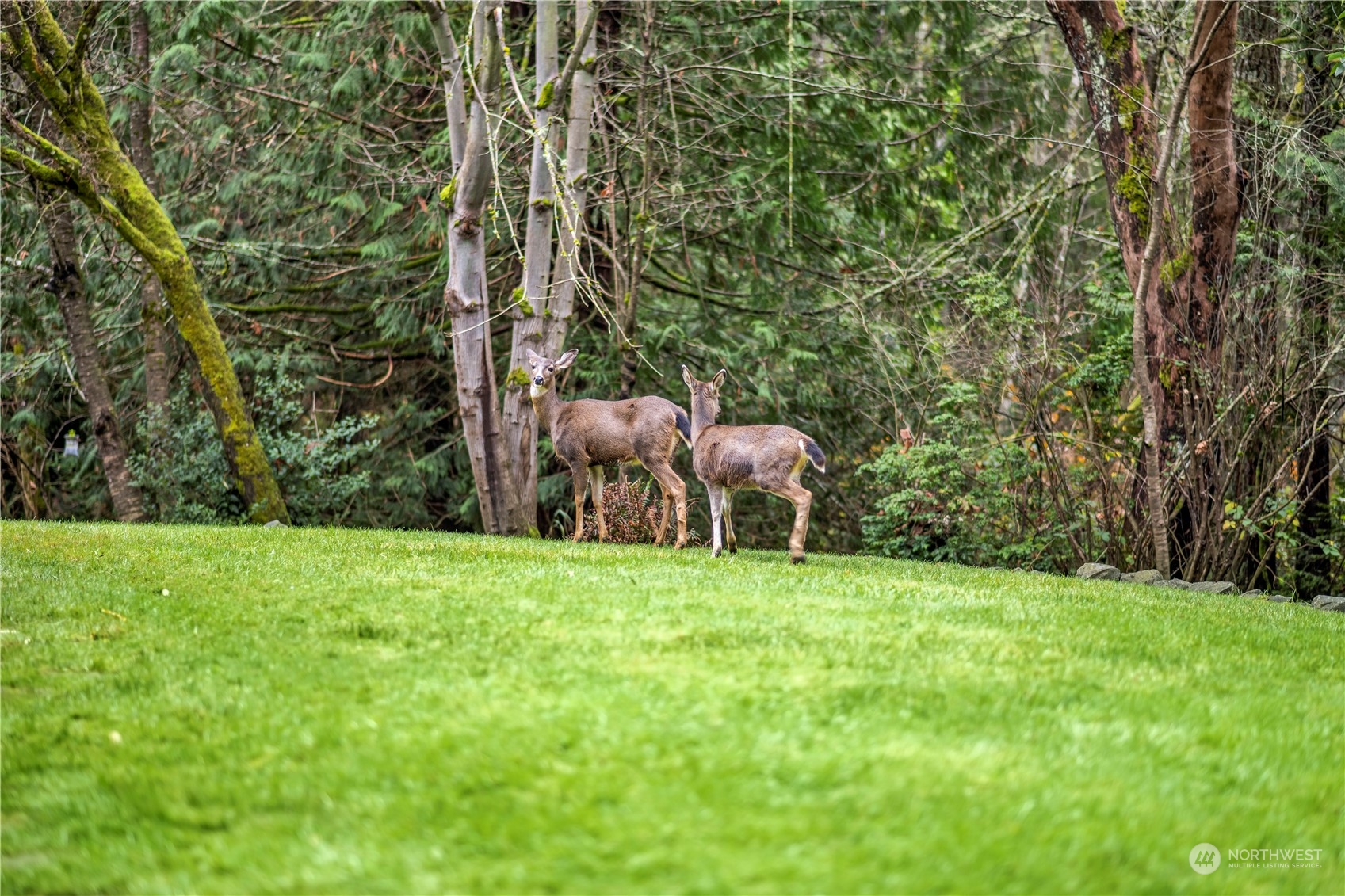 678 Old Ketner Road Fox Island, WA 98333 - Photo 5 of 40