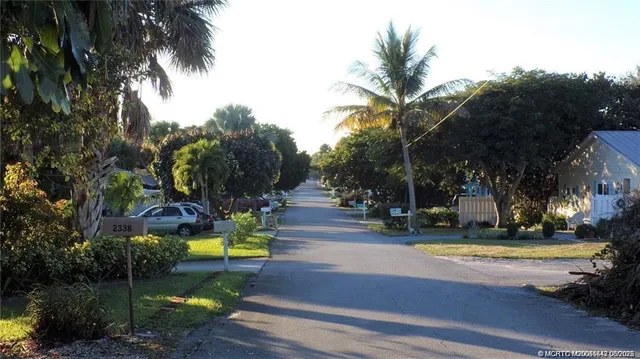 a view of a park with palm trees