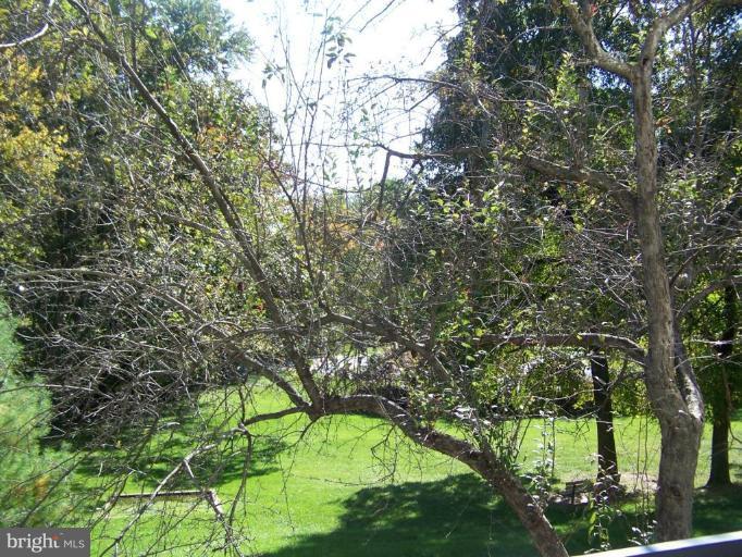 1824 Metzerott Road, Unit A3 Hyattsville, MD 20783 - Photo 10 of 28 View from Unit