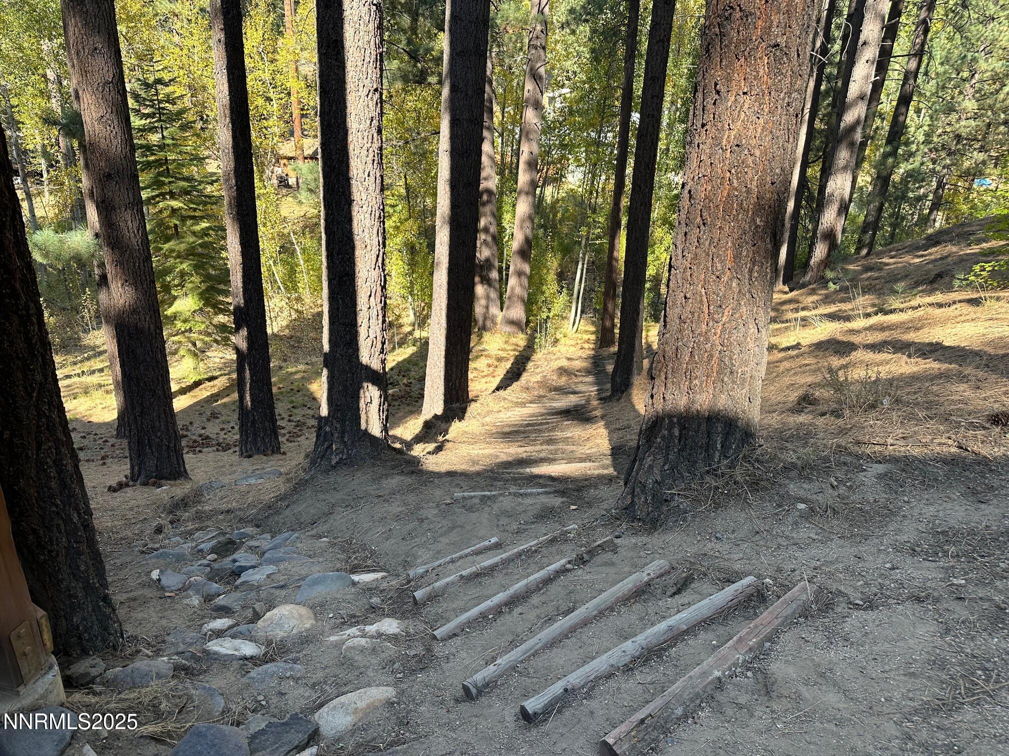 100 Timber Lane Markleeville, CA 96120 - Photo 3 of 29 a view of backyard with green space