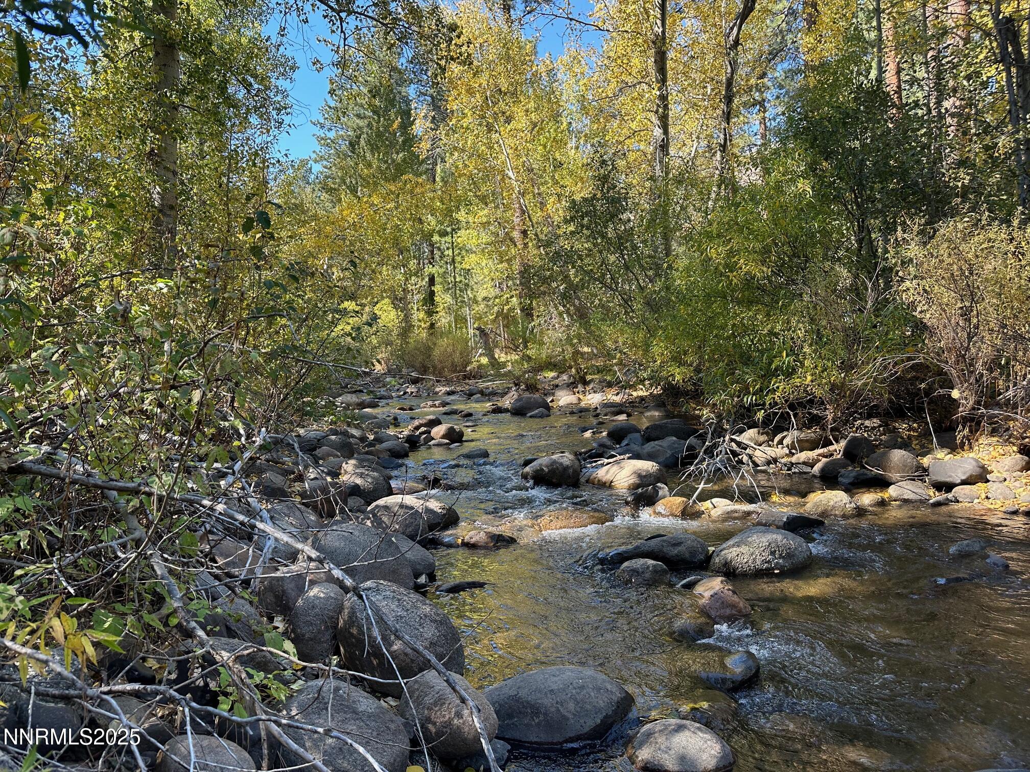 100 Timber Lane Markleeville, CA 96120 - Photo 4 of 29 a view of a forest with houses