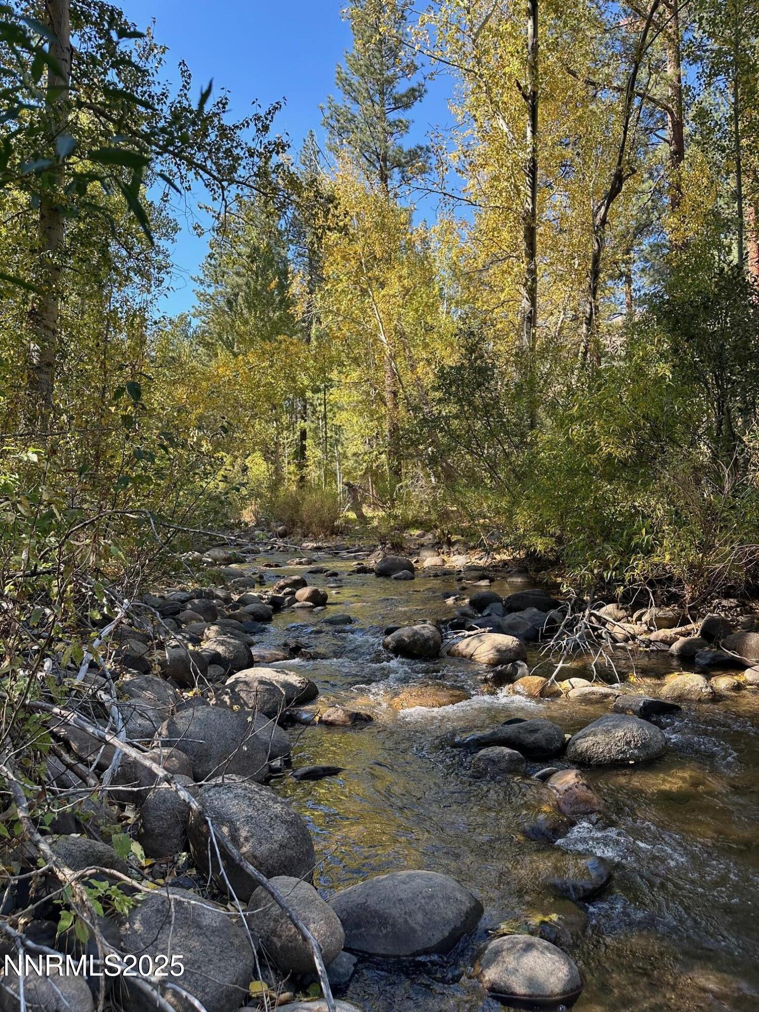 100 Timber Lane Markleeville, CA 96120 - Photo 5 of 29 a view of a forest with houses