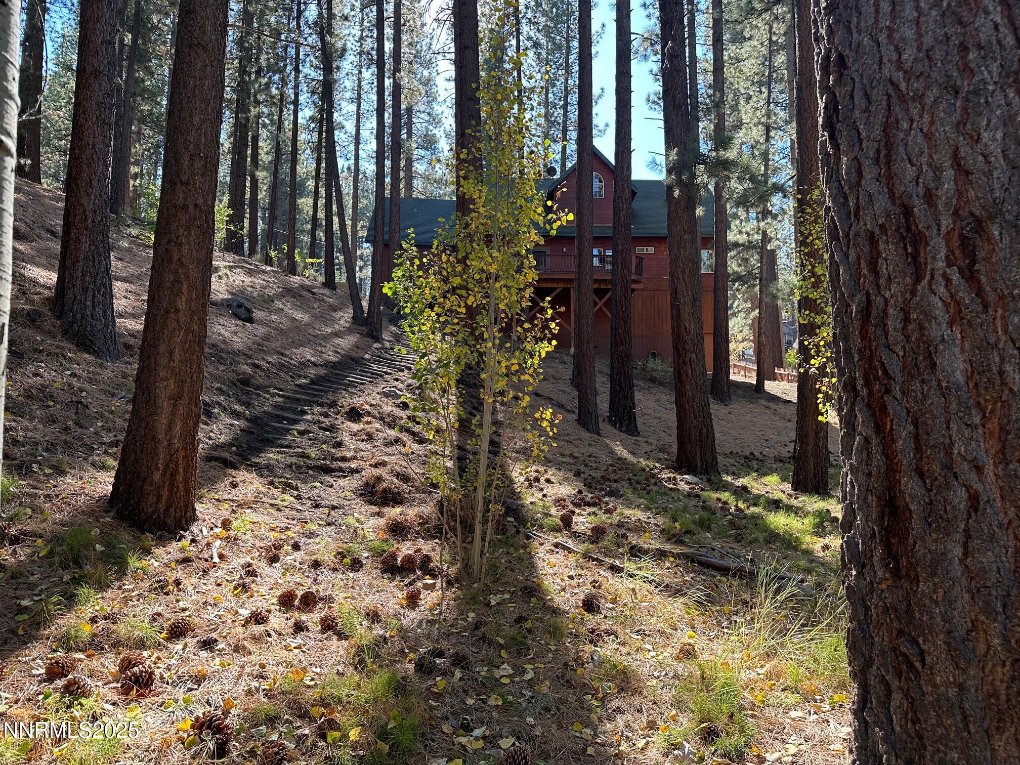 100 Timber Lane Markleeville, CA 96120 - Photo 7 of 29 a backyard of a house with lots of green space