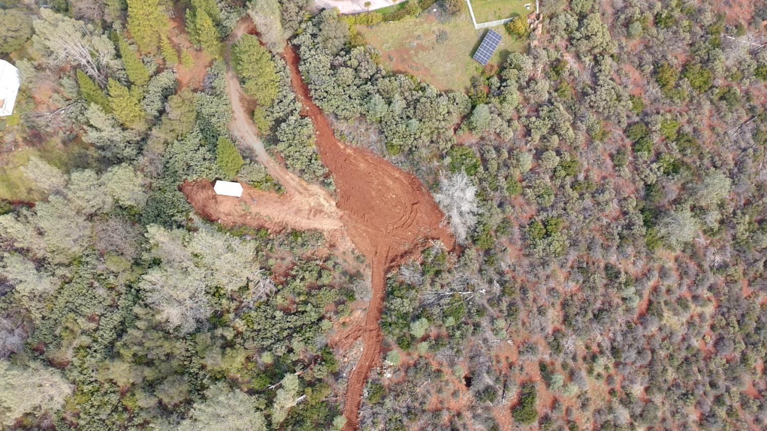 4071 Pilot View Court Pilot Hill, CA 95664 - Photo 5 of 15 a view of a forest with a tree