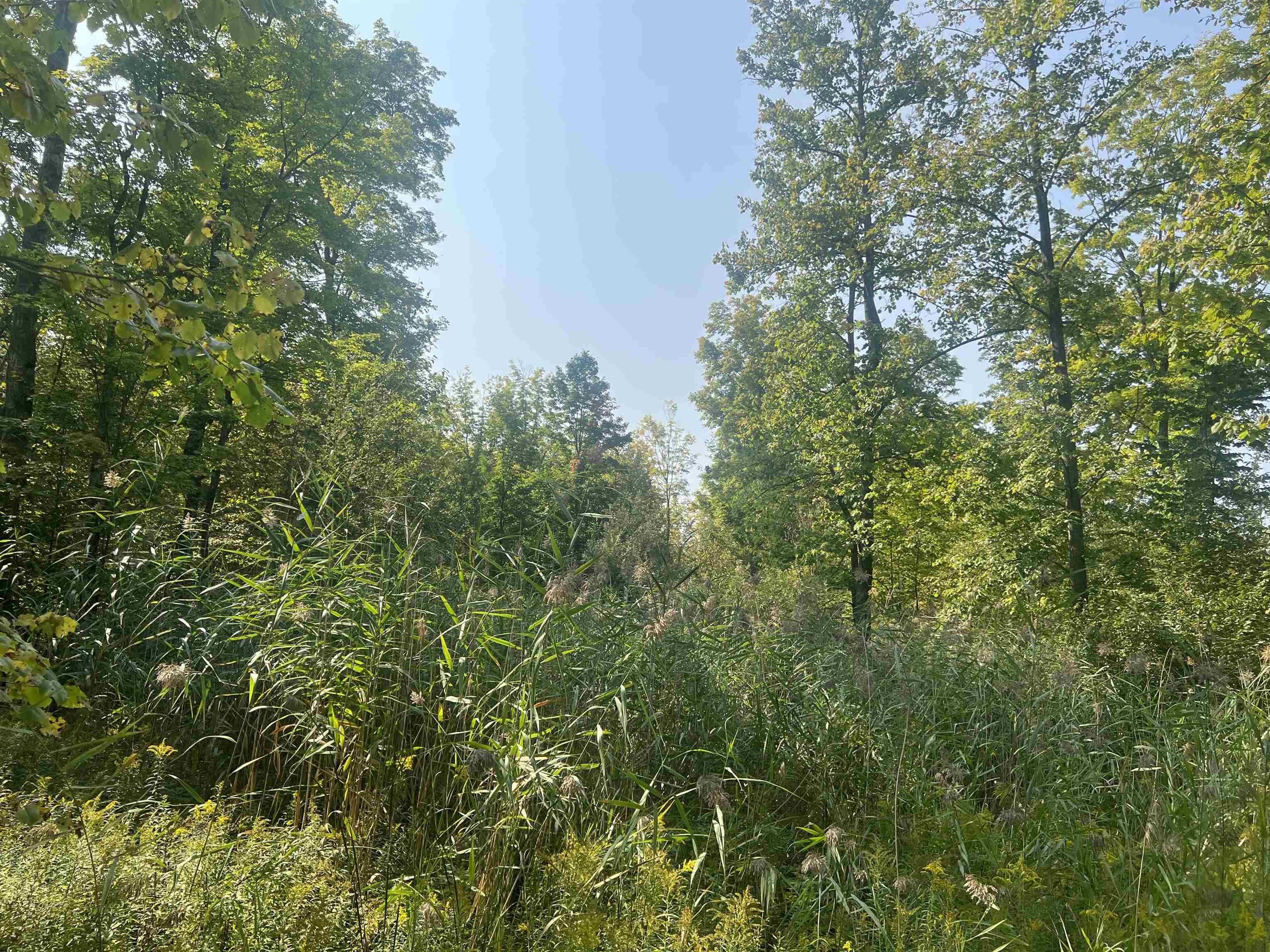 0 30 West 30 1/4 Road Harrietta, MI 49638 - Photo 6 of 9 1927076-6a8d43fa-89a1-45bf-bfb4-a883fd95e294.JPG